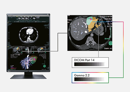 Monitor do diagnostyki ogólnej Eizo RadiForce RX270 - parametry
