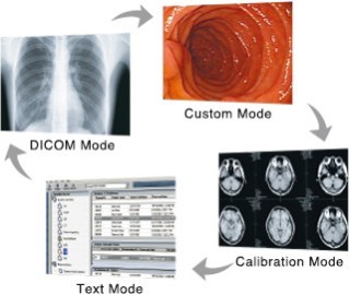 Eizo RadiForce MX194