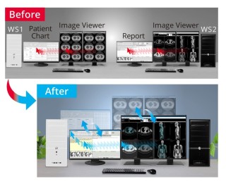 Eizo RadiForce RX370