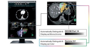 Eizo RadiForce RX370