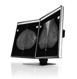 EIZO RadiForce GX560