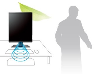 EIZO RadiForce GX560