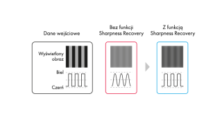 Eizo RadiForce MX317W