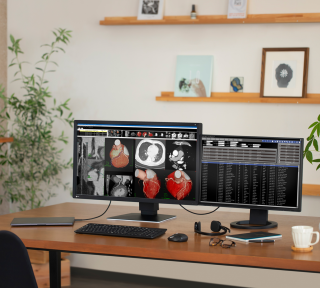 Eizo RadiForce MX317W