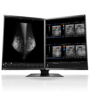 EIZO RadiForce RX560