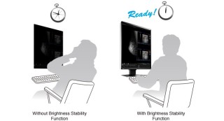 EIZO RadiForce RX560