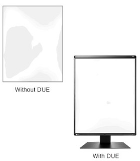 EIZO RadiForce RX560