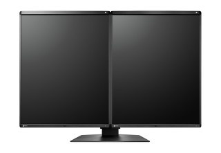 EIZO RadiForce RX560
