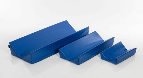 Pozycjoner weterynaryjny RX 801 S