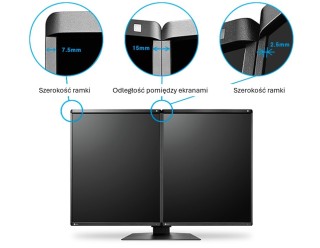 EIZO RadiForce GX570