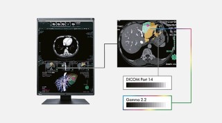 EIZO RadiForce RX570