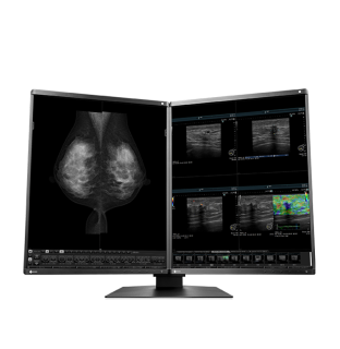 EIZO RadiForce RX570