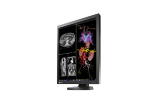 Eizo RadiForce MX217