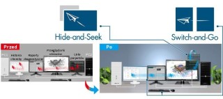 Eizo RadiForce RX660